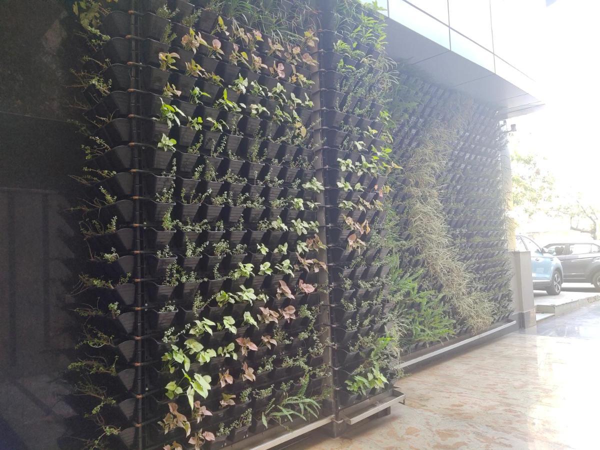 Delhieez - A Boutique Hotel New Delhi Exterior foto